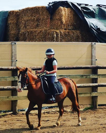 Breizh Horse Center, Centre Equestres au Rheu