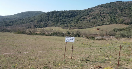 Les Ecuries Des Olivettes, Pension Pour Chevaux à Vailhan
