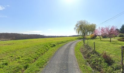 Centre Équestre Bresse-Cheval, Centre Equestres à Curtafond