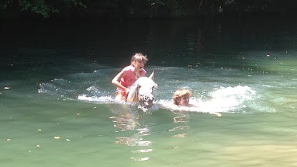 Equestrian Center Cannes : Equestrian Club De Grasse, Centre Equestres à Grasse