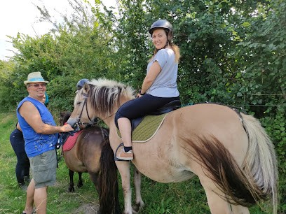 Espace Equestre Equitao, Pension pour Chevaux à Gennes-Val-de-Loire