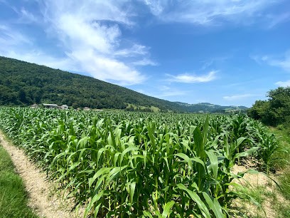 CJA Quarter Horses, Centre Equestres aux Échelles