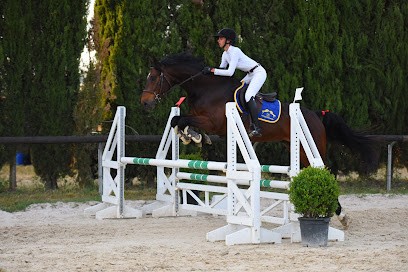 Ecurie Elevage SKY Z, Pension pour Chevaux à Saint-Laurent-d'Aigouze