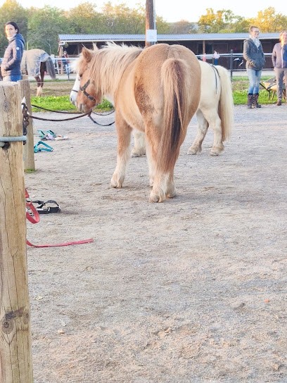 Centre Equestre Poney Club Les Kiwis, Centre Equestres à Saint-Étienne-de-Fontbellon