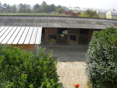 Les Écuries Du Biollay, Centre Equestres à Valleiry