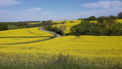 Les Ecuries de la Charriere, Pension pour Chevaux à Genillé