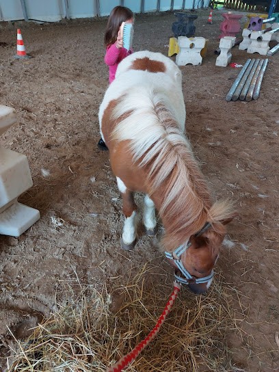Stables De Gapennes, Centre Equestres à Gapennes