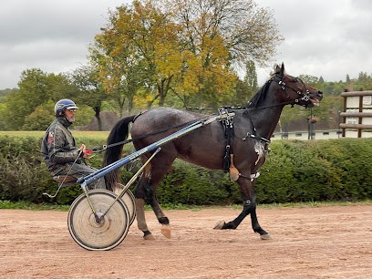 Coulon Thomas, Pension pour Chevaux à Gournay-en-Bray