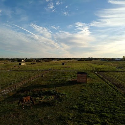 Les Écuries d'L, Pension pour Chevaux à Castets et Castillon