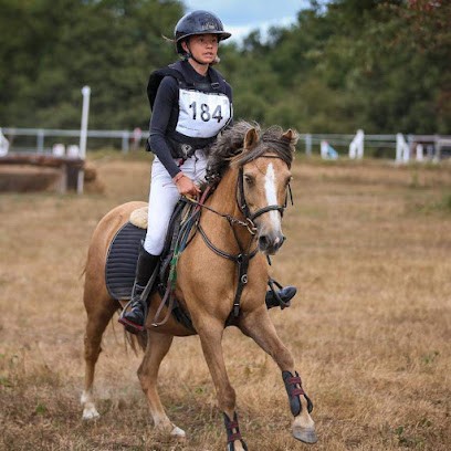 La Jumenterie Levis - Equestrian Center - Pension Pour Chevaux, Centre Equestres à Lurcy-Lévis