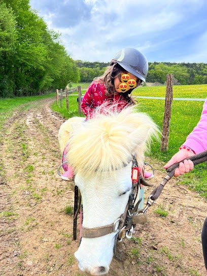 FERME EQUESTRE DE POIFOND, Centre Equestres à Varzy