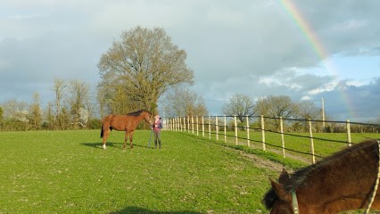 Haras De Icksy, Centre Equestres à Noyant-Villages