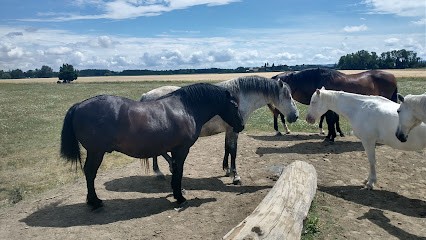 Ecuries De La Plane, Centre Equestres à Orange