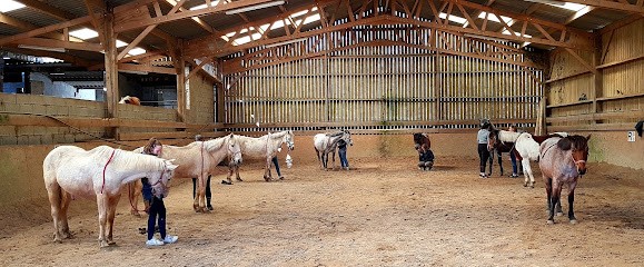 Equestrian Center De Tréglamus, Centre Equestres à Tréglamus