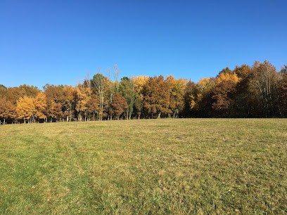 Domaine du Riou - Pension pour Chevaux, Pension pour Chevaux à Saint-Laurent-d'Arce