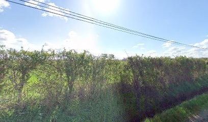 Sarl Ecurie Vincent Blanchard, Centre Equestres à Coulon