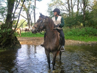 Ranch Jack, Centre Equestres à Moutoux