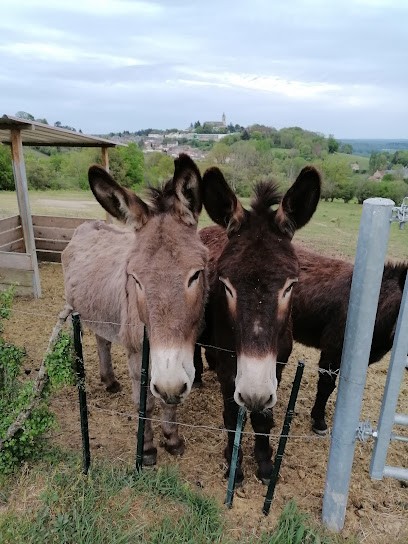 Escapades Of Steph'âne, Centre Equestres à Lormes