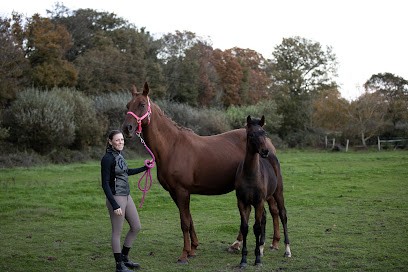 Emilie Guillon Equitation, Centre Equestres à Missillac