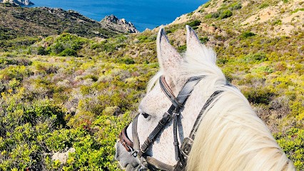 L ALBADU Randonnée équestre, Centre Equestres à Corte