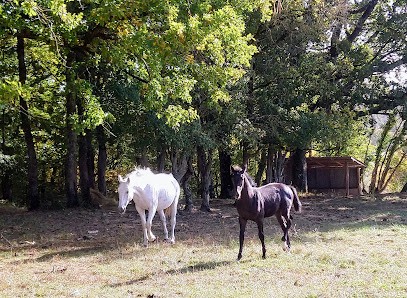 Écuries de la lombarderie, Pension pour Chevaux à La Roche-Posay