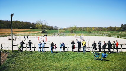 Haras Du Mille, Centre Equestres à Val de Moder