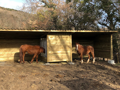 Ecurie Au Rythme Des Saisons Pension Pour Chevaux à Saint-Nectaire
