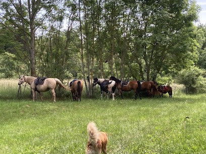 DOMAINE DES FAN-FAON, Centre Equestres à Saint-Jeure-d'Ay