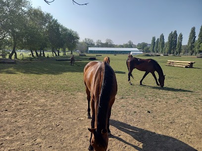 Adaesl Club Des Iles, Centre Equestres à Saint-Sébastien-sur-Loire