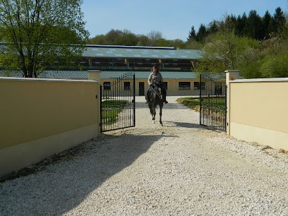 Académie Equestre Du Miroir, Pension pour Chevaux à Saint-Augustin