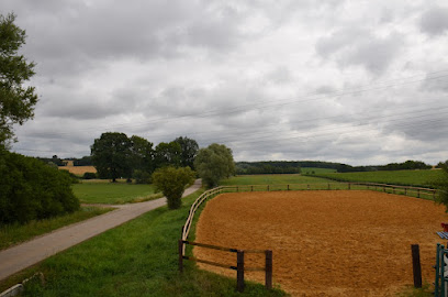Ecurie De Mécleuves, Centre Équestre à Mécleuves