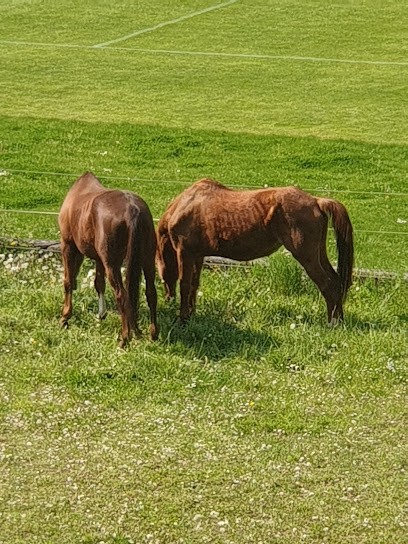 Ecurie du sous bois, Centre Equestres à Nilvange