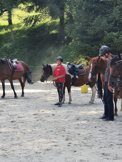 FERME EQUESTRE DE CANTALES, Centre Equestres à Saint-Étienne-Cantalès