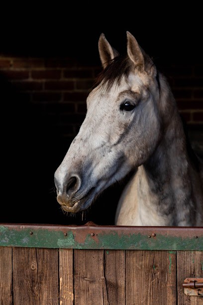 CENTRE EQUESTRE DE VILLERS COTTERETS ATEA, Pension pour Chevaux à Villers-Cotterêts