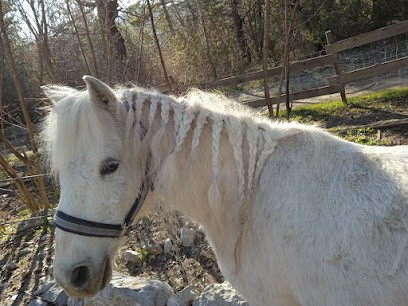 Écurie sandalphon, Centre Equestres à Clamensane