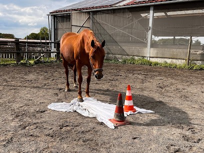 Les Ecuries De La Posterie, Pension pour Chevaux à Bourghelles