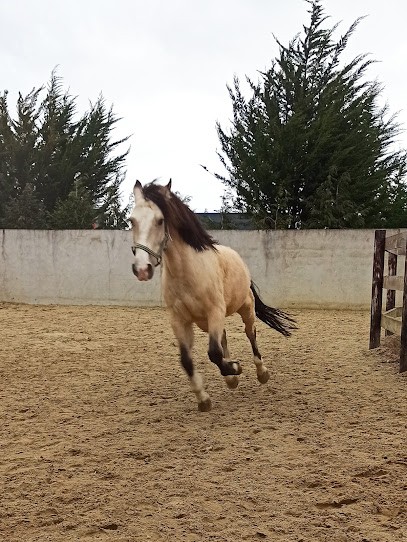 Centre Equestre Lusi Du Raffeteau, Centre Equestres à Courtry
