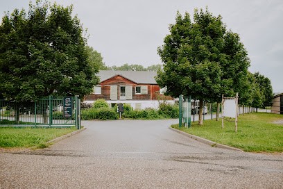 Haras de Pfaffenhoffen - William Haar Performance, Centre Equestres à Val de Moder