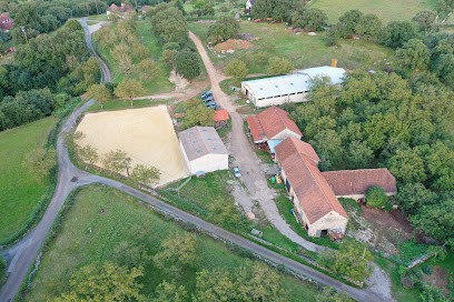 Ecuries de Malebarthe, Pension pour Chevaux à Loubressac