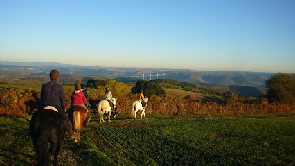 Cottage And Equestrian Farm Les 2 Chouettes, Centre Equestres à Curan