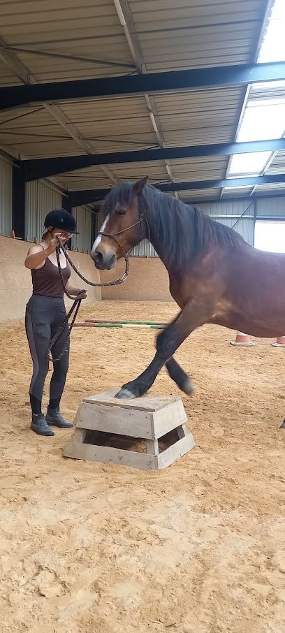 Centre équestre Equimagic, Centre Equestres à Cozes