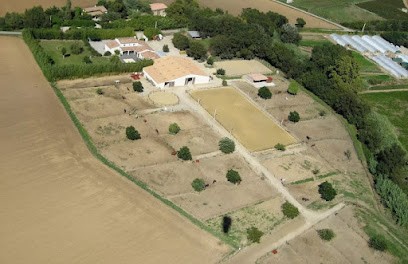 Ecurie La Clausade, Centre Equestres à Lansargues