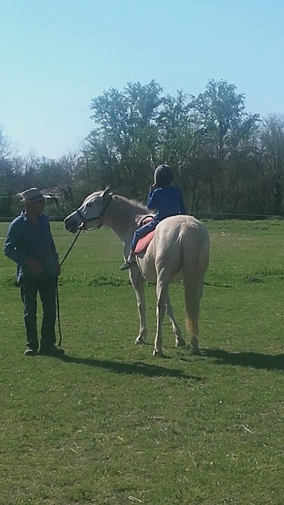 Equithéraphie quercy cheval, Centre Equestres à Nègrepelisse