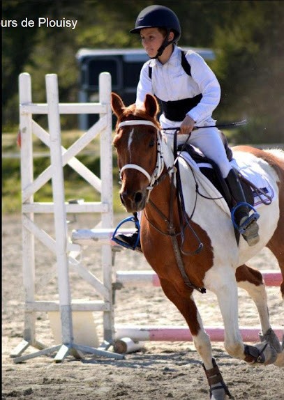 Univers Ponies, Centre Equestres à Plouha