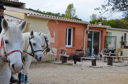 Domaine Equestre de Maruejols, Centre Equestres à Clarensac