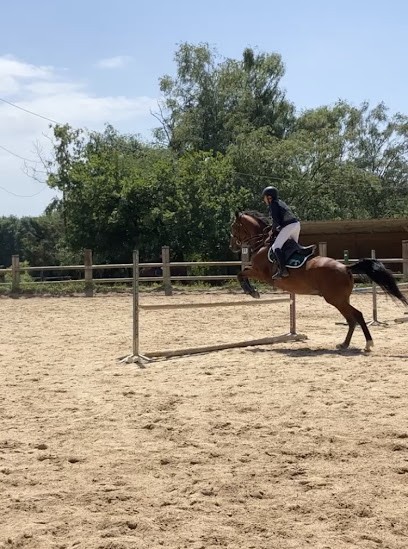 Pcgo, Centre Equestres à Gonfreville-l'Orcher