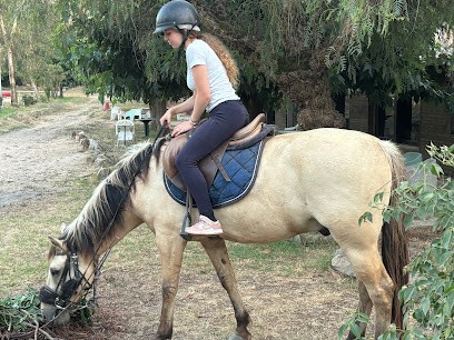 Porticcio equestrian center, Centre Equestres à Grosseto-Prugna