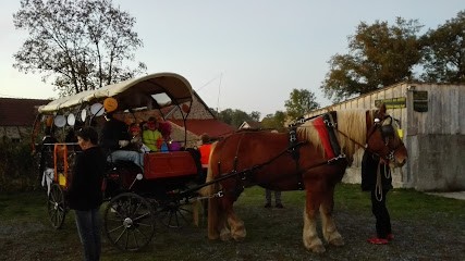 Les Attelages des Moutats, Centre Equestres à Viplaix