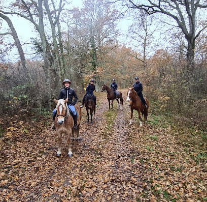 ECURIES DES NOUES, Centre Equestres à Langon-sur-Cher
