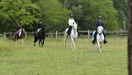 Pony Club Château Perron, Centre Equestres à Roaillan